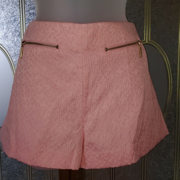 Forever 21 Pants - Forever 21 pink shorts with gold zipper pockets